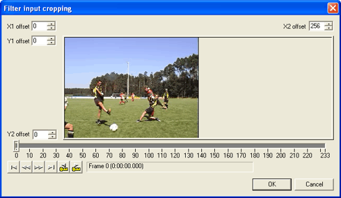 VirtualDub cropping filter